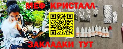 PSILOCYBIN Можга