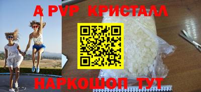 PSILOCYBIN Можга