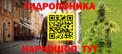 PSILOCYBIN Можга