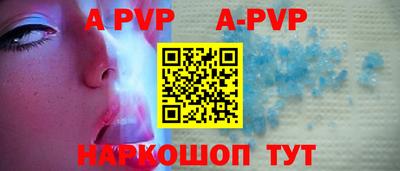 PSILOCYBIN Можга
