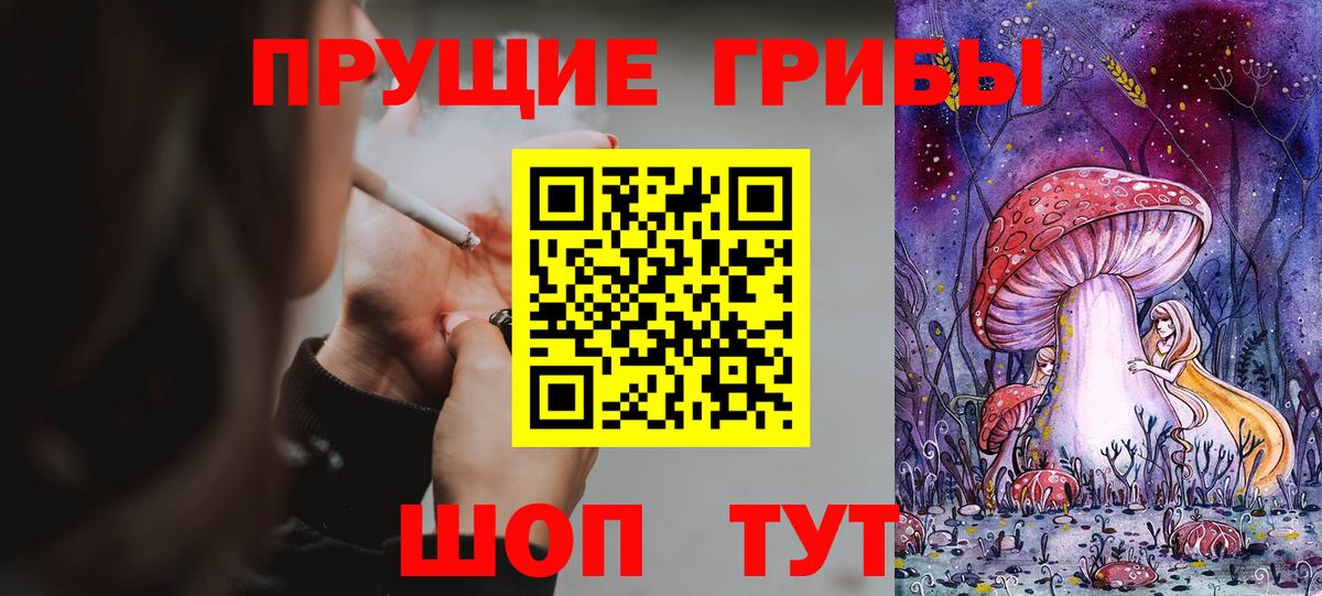 Тольятти  Псилоцибиновые грибы MAGIC MUSHROOMS  Вход с VPN  Псилоцибиновые грибы мицелий 